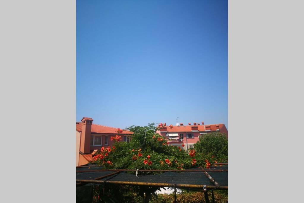 Casa Di Nonna Pina, Kuca U Blizini Arene Apartment Pula Exterior photo
